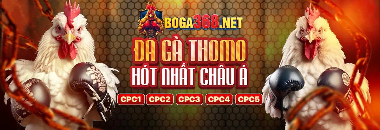 Đá Gà Trực Tiếp Thomo