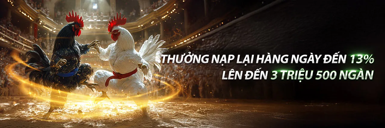 Tin tức đá gà trực tiếp Thomo mới nhất