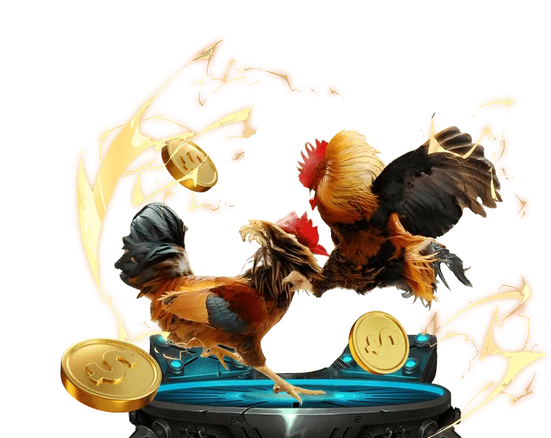 Hoàn trả cược thua BK8